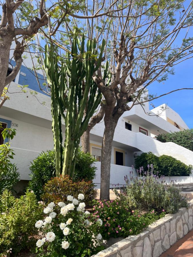 Roymar 14 Playa Apartment Benidorm Exterior photo